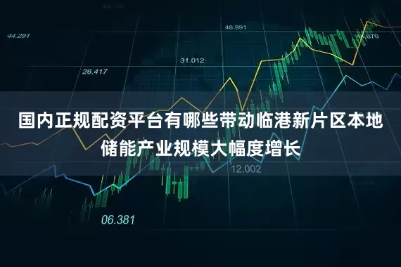 国内正规配资平台有哪些带动临港新片区本地储能产业规模大幅度增长