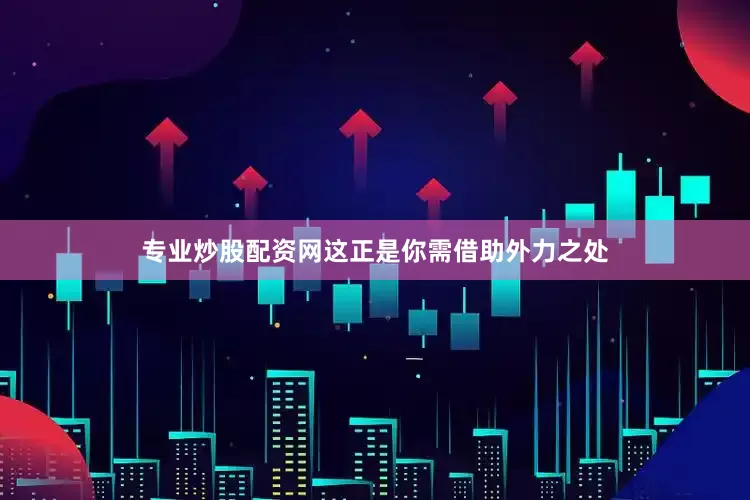 专业炒股配资网这正是你需借助外力之处